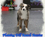 Image preview for Ad Listing. Nickname: Pardon