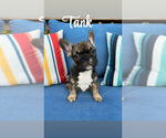 Image preview for Ad Listing. Nickname: Tank