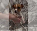 Image preview for Ad Listing. Nickname: Cody