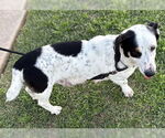 Small #2 Breeder Profile image