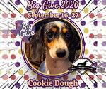 Small #2 Dachshund