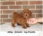 Image preview for Ad Listing. Nickname: Abby