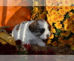  - Photo #2