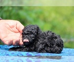 Image preview for Ad Listing. Nickname: Aretha