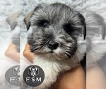Image preview for Ad Listing. Nickname: Zaia