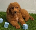 Image preview for Ad Listing. Nickname: Rusty
