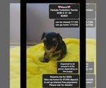 Image preview for Ad Listing. Nickname: Mavis