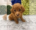 Image preview for Ad Listing. Nickname: Mia