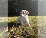 Small #3 Breeder Profile image