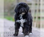 Image preview for Ad Listing. Nickname: Cole