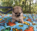 Image preview for Ad Listing. Nickname: Duchess