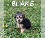 Image preview for Ad Listing. Nickname: Blake