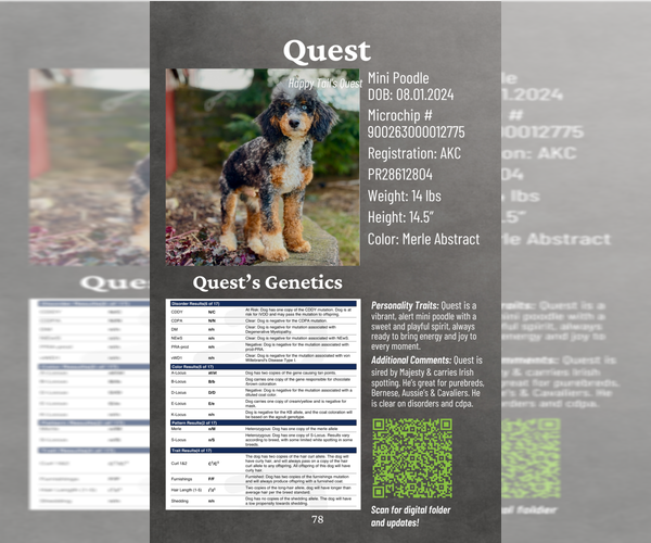 Medium Photo #1 Cavapoo Puppy For Sale in CARLISLE, KY, USA