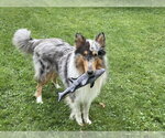 Small #3 Breeder Profile image