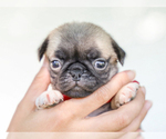 Image preview for Ad Listing. Nickname: Alexis
