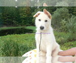 Image preview for Ad Listing. Nickname: Mr Bayside Ceda