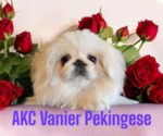Image preview for Ad Listing. Nickname: Elaine