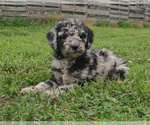 Image preview for Ad Listing. Nickname: Pretty Girl
