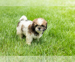 Image preview for Ad Listing. Nickname: Glory