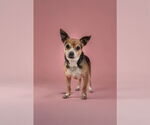 Small #1 Breeder Profile image
