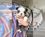 Image preview for Ad Listing. Nickname: Willow