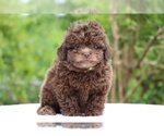 Image preview for Ad Listing. Nickname: flicka