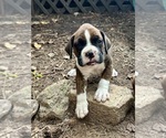 Image preview for Ad Listing. Nickname: Luke
