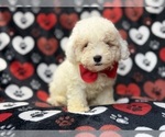 Image preview for Ad Listing. Nickname: Hex