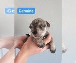 Image preview for Ad Listing. Nickname: Genuine