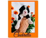 Small #3 Bernedoodle-Poodle (Standard) Mix