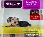 Image preview for Ad Listing. Nickname: Tinker