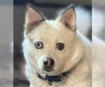 Small #2 Breeder Profile image