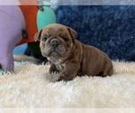 Image preview for Ad Listing. Nickname: Blueberry