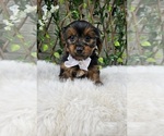 Image preview for Ad Listing. Nickname: Bastian