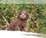 Image preview for Ad Listing. Nickname: flicka