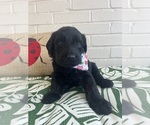 Image preview for Ad Listing. Nickname: Black Female