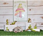 Small Photo #42 Chihuahua Puppy For Sale in CHARLESTON, AR, USA