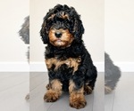 Image preview for Ad Listing. Nickname: Smore