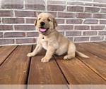 Image preview for Ad Listing. Nickname: Cincinnatis