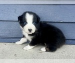 Image preview for Ad Listing. Nickname: Danny