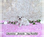 Image preview for Ad Listing. Nickname: Jasmine