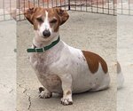 Small #1 Breeder Profile image