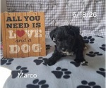 Small #2 Yo-Chon