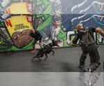 Small #20 Doberman Pinscher