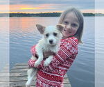 Small #5 Mutt