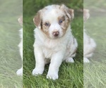 Image preview for Ad Listing. Nickname: EVA
