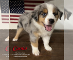 Image preview for Ad Listing. Nickname: Cosmo