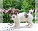 Small #2 Jack Tzu