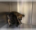 Small Lab Pei