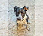 Small #11 Mutt